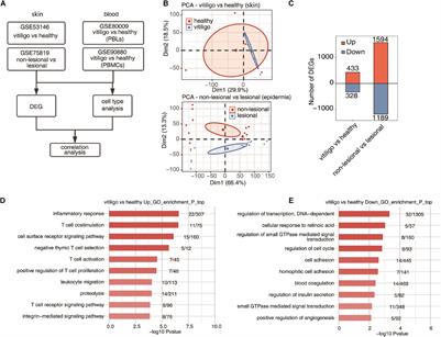 Comprehensive Analysis of Cell Population Dynamics and Related Core Genes During Vitiligo Development